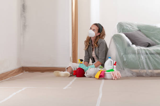 Reliable Mold Inspection contractor in Buckley, WA by WQB Mold Removal